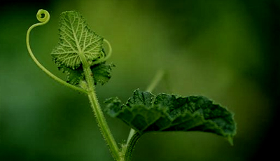 麥景龍-體驗(yàn)聲臨其境