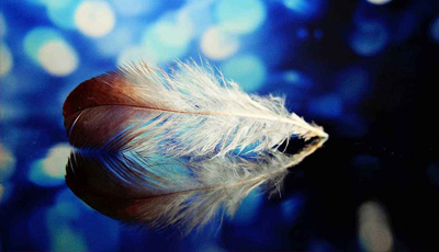 麥景龍-畫面細(xì)膩高清